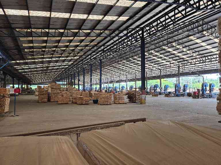 橡胶木拼板供应告急，部分规格价格全线上扬(图1)