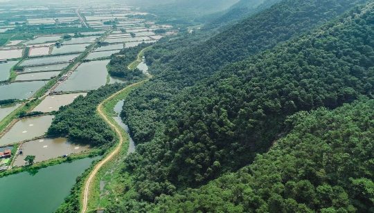 中央财政补 8.56 亿元！广东国土绿化项目入选全国 10 强 守护大湾区西部生态(图1)