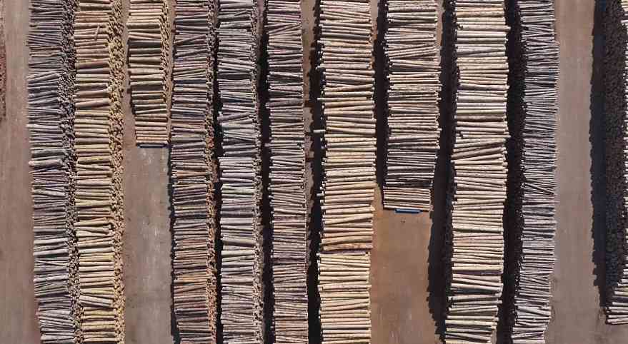 连续5个月负增长!2025中国木材进口“失速”!(图3) 连续5个月负增长!2025中国木材进口“失速”!(图3)