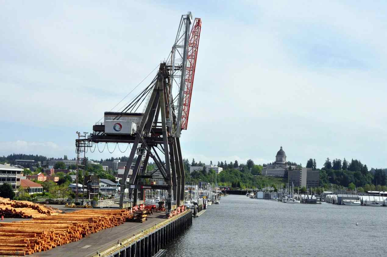 “鉴木”系统显神通！日照海关让进口木材通关效率“跑”起来(图1)