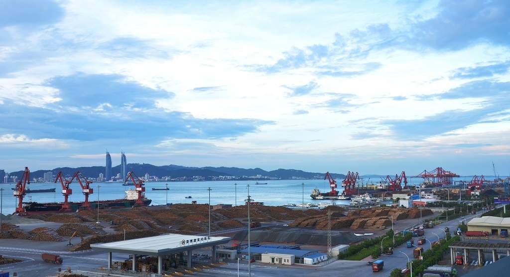 福建漳州：作为东南沿海最大木材集散地 上半年木片进口同比猛增 177%(图1)