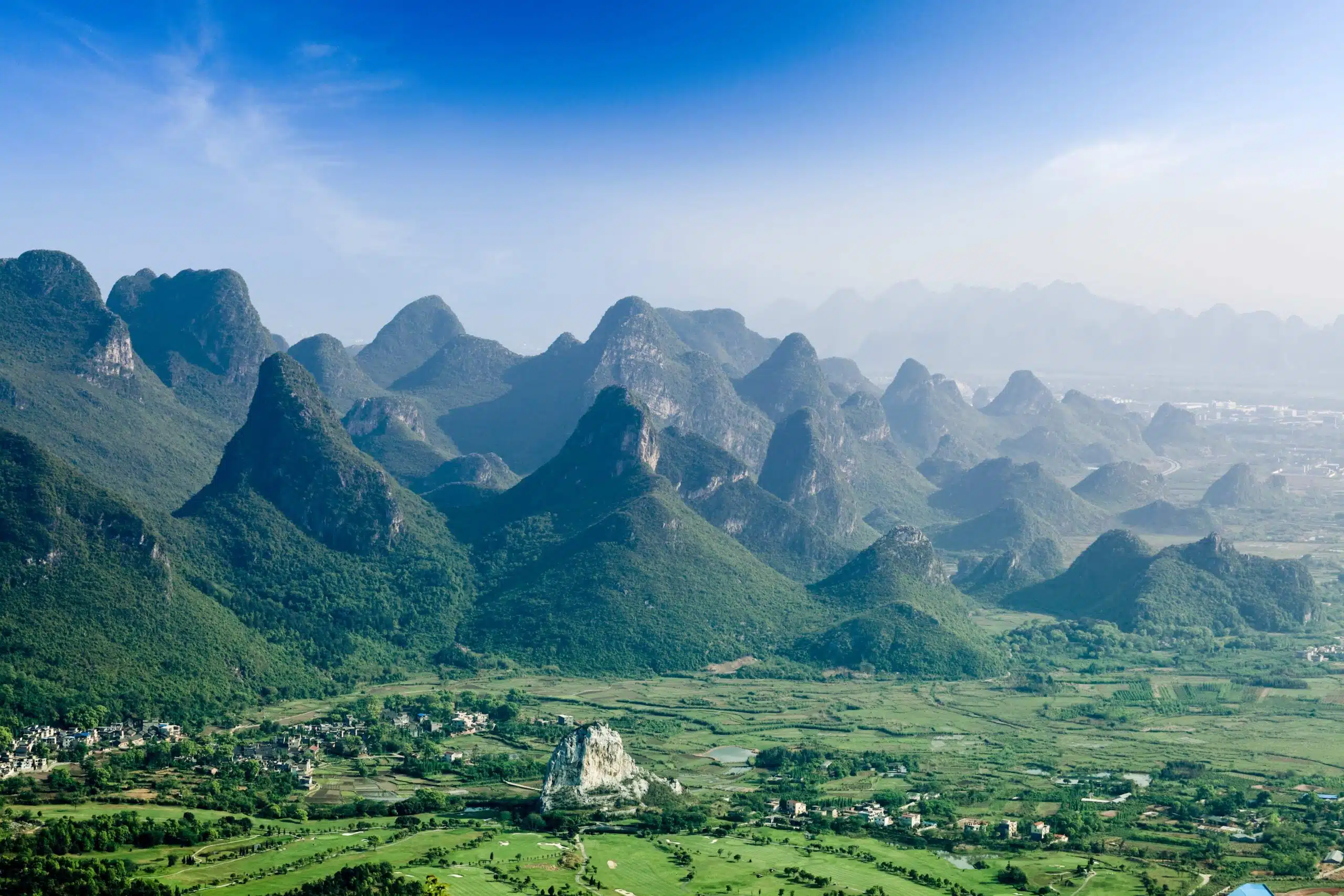 央行发力，林业焕新：金融助力中国林业迈向新征程(图1)