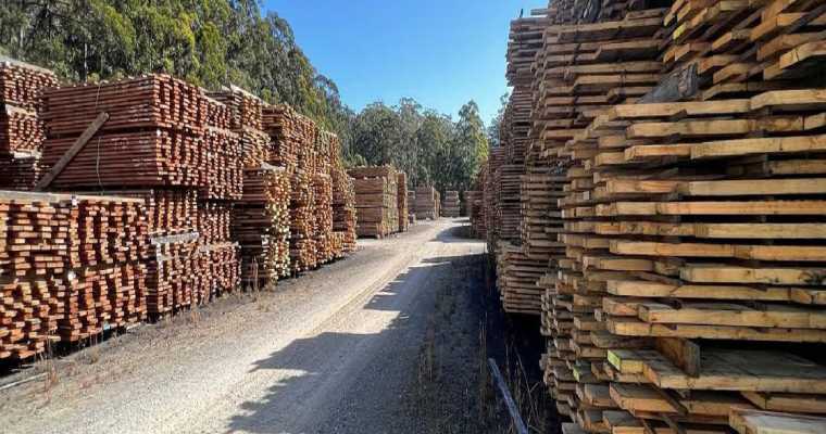 澳大利亚公布国家木材纤维战略以促进行业增长(图1) 澳大利亚公布国家木材纤维战略以促进行业增长(图1)