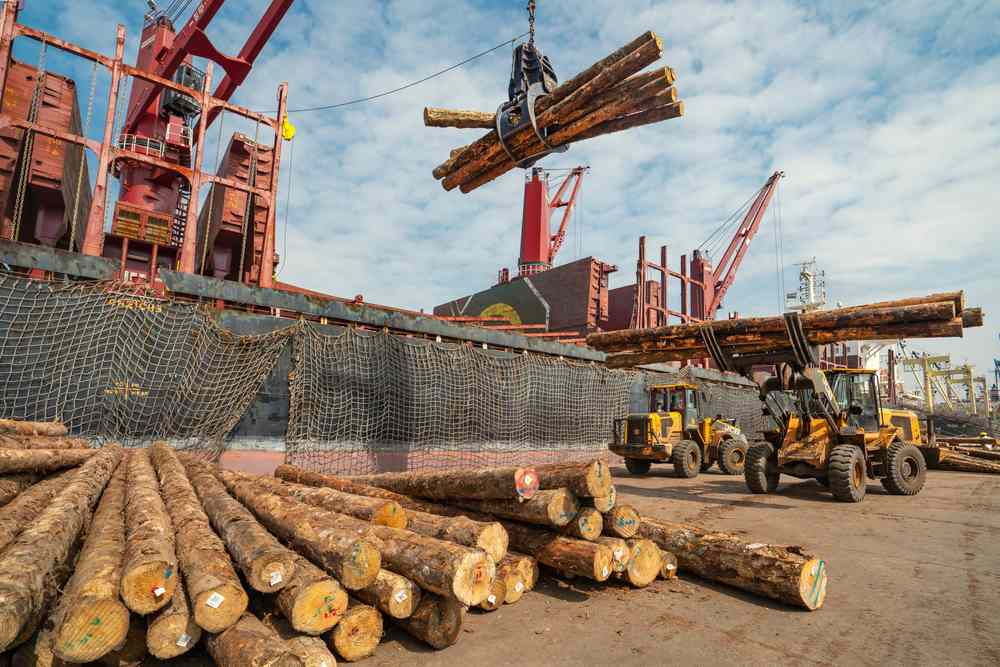 新西兰木材贸易有望借印新自贸谈判重启迎来增长契机(图1)