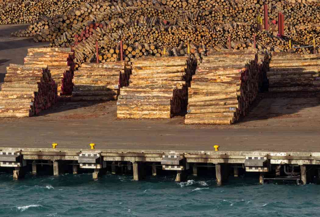 木材进口量连续第六个月“跳水”，8月进口再降两成！(图3)