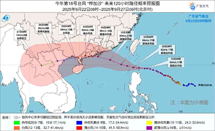 超强台风“桦加沙”来袭，广东多地“五停”致木材市场阶段性停业(图1)