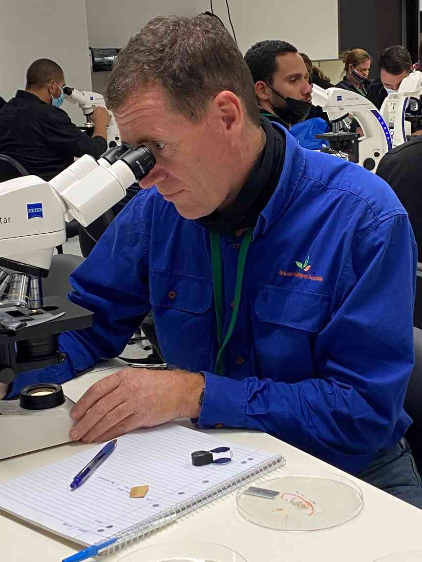 解锁林业新视野，戈特斯坦课程助你成长(图4)