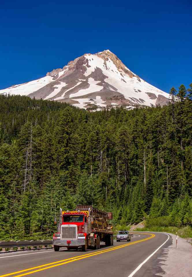 每年需补 3400 名工人！俄勒冈州林业强州梦，卡在教育短板上(图1)