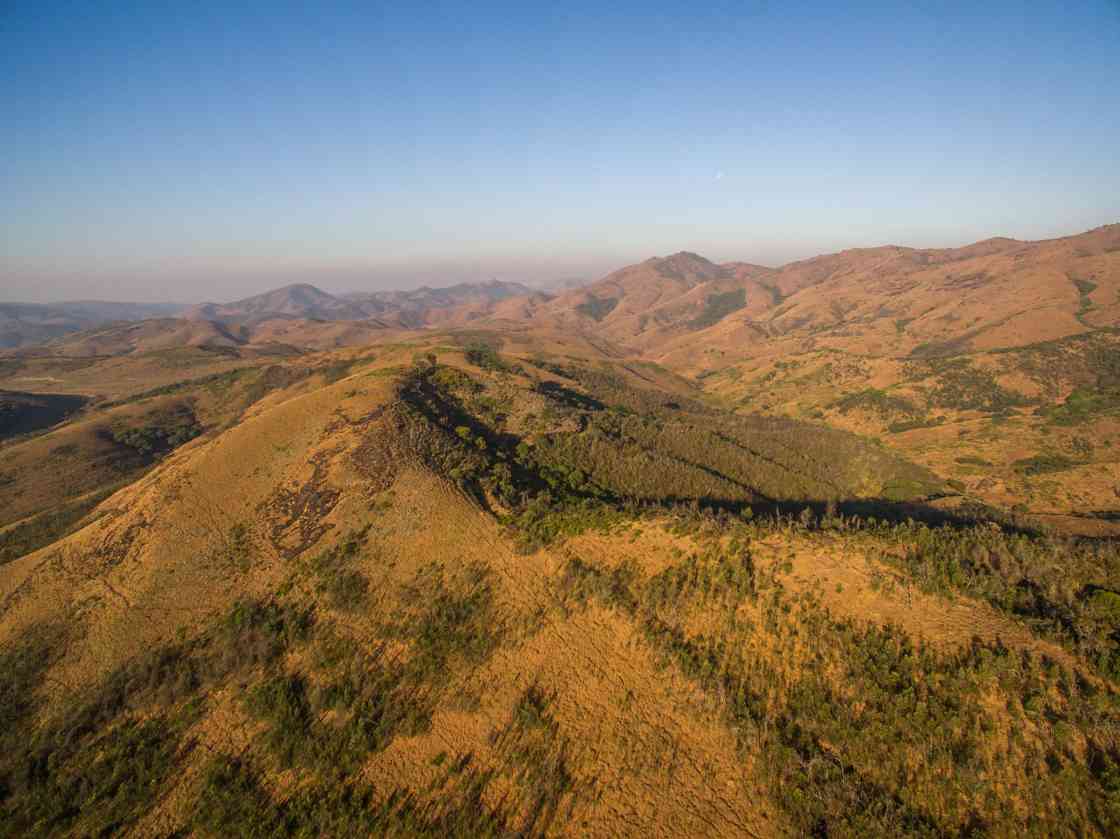被低估的草原：印度鸟类研究揭露殖民景观改造的生态代价(图1)