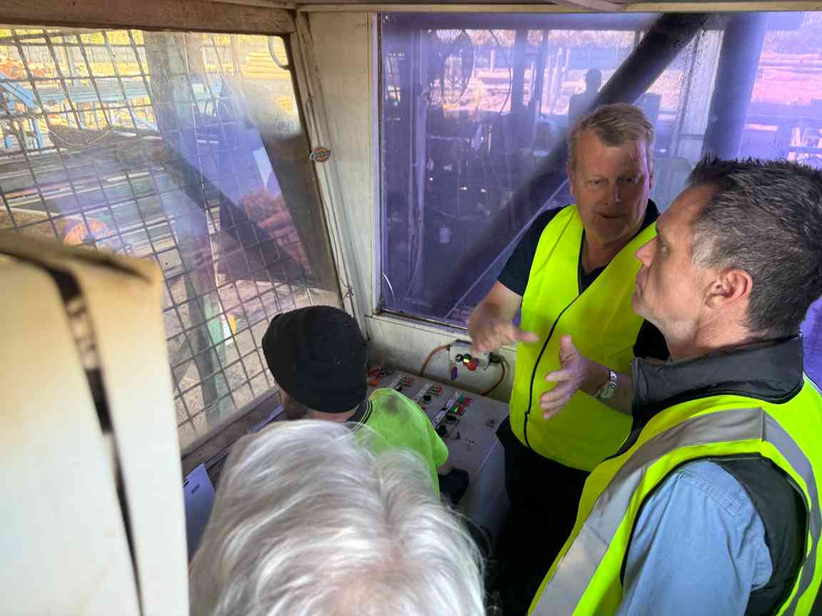 新州州长面临艰难抉择：考拉公园扩建关乎木材行业与社区未来(图8)