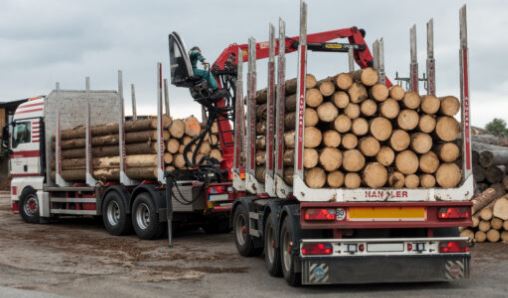 经济微暖带动木材市场？奥地利林业协会揭秘价格稳定背后的密码(图1)