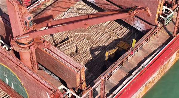 国内木材进口：近十年内首次跌破6000万(图1)