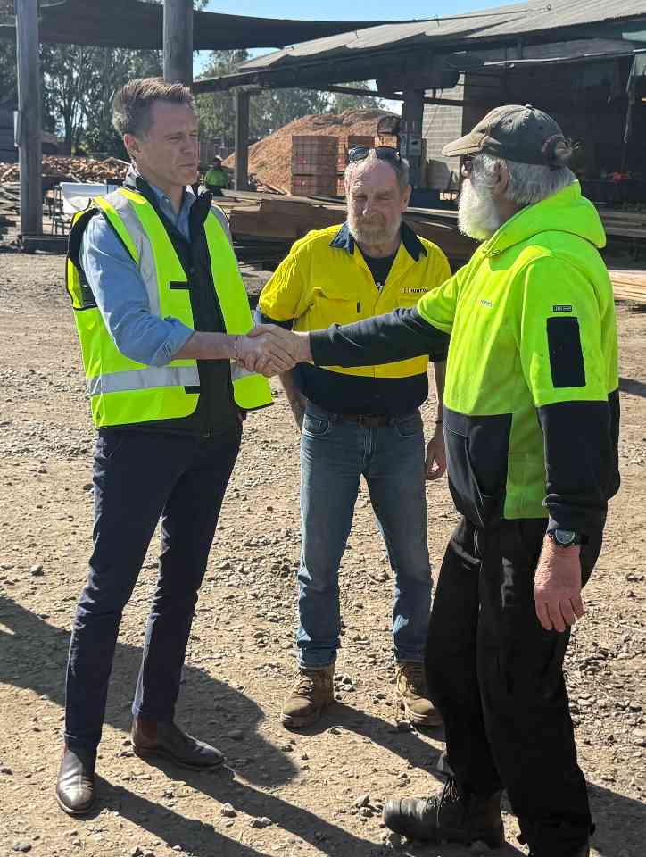 新州州长面临艰难抉择：考拉公园扩建关乎木材行业与社区未来(图9)