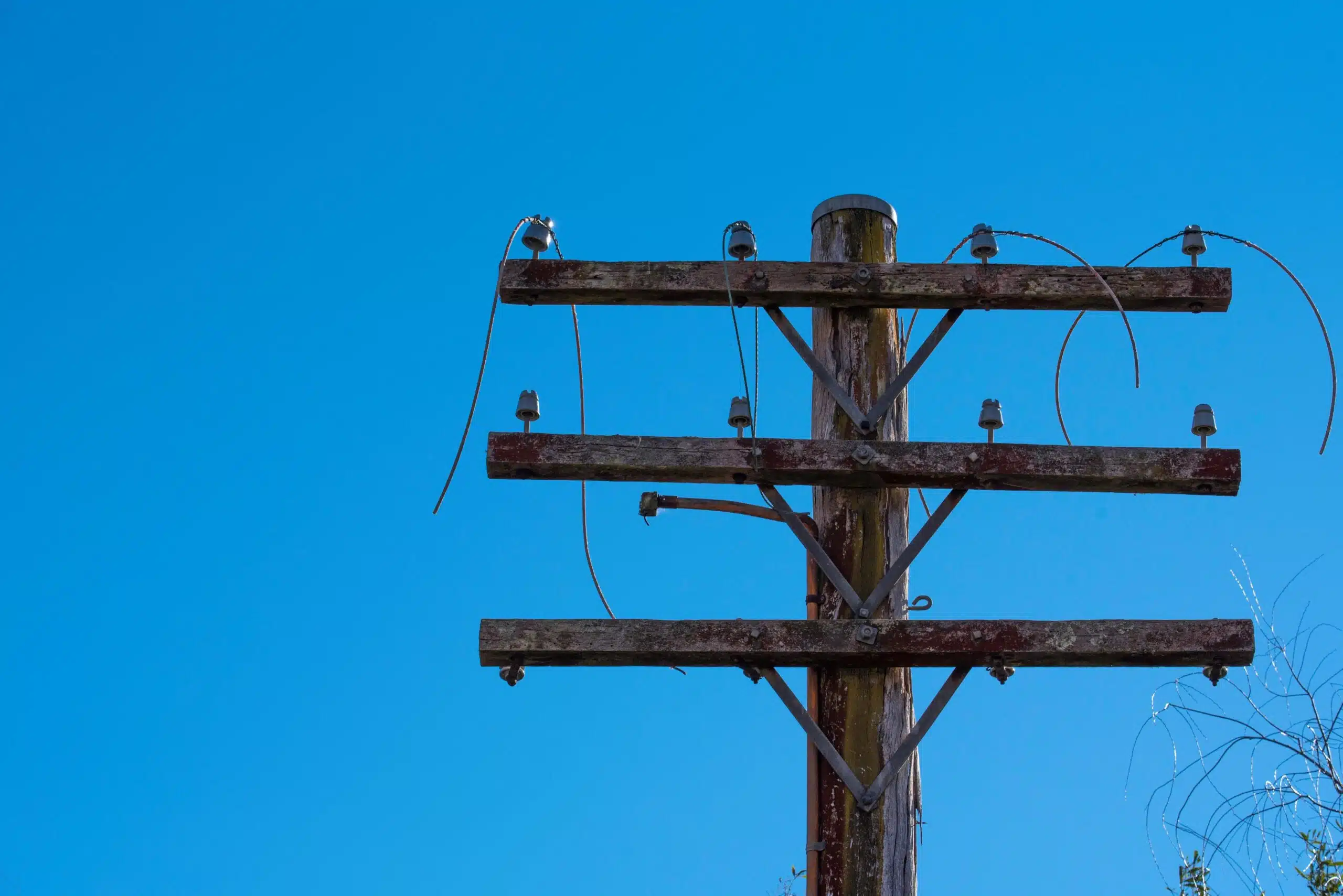 新州州长面临艰难抉择：考拉公园扩建关乎木材行业与社区未来(图11)