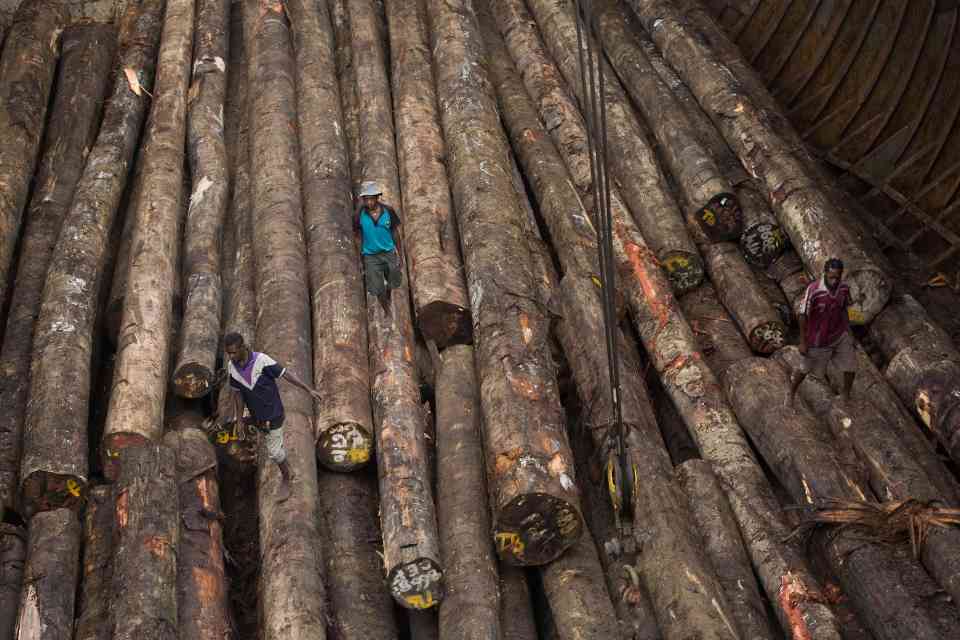 从“标准风险”到“低风险”：马来西亚木材业的突围之路(图2)