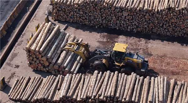 国内木材进口：近十年内首次跌破6000万(图5)