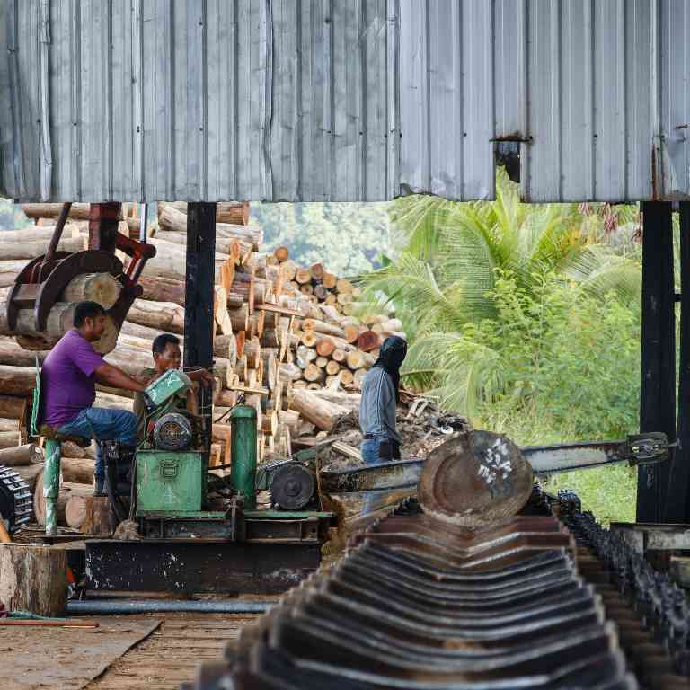 从胶合板到咖啡豆：欧盟毁林法规下，谁在为全球供应链“买单”？(图1)