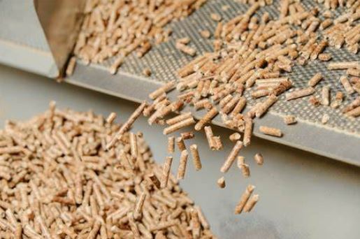 从防火到供暖：美国木材创新项目如何用8000万激活乡村潜力？(图1)