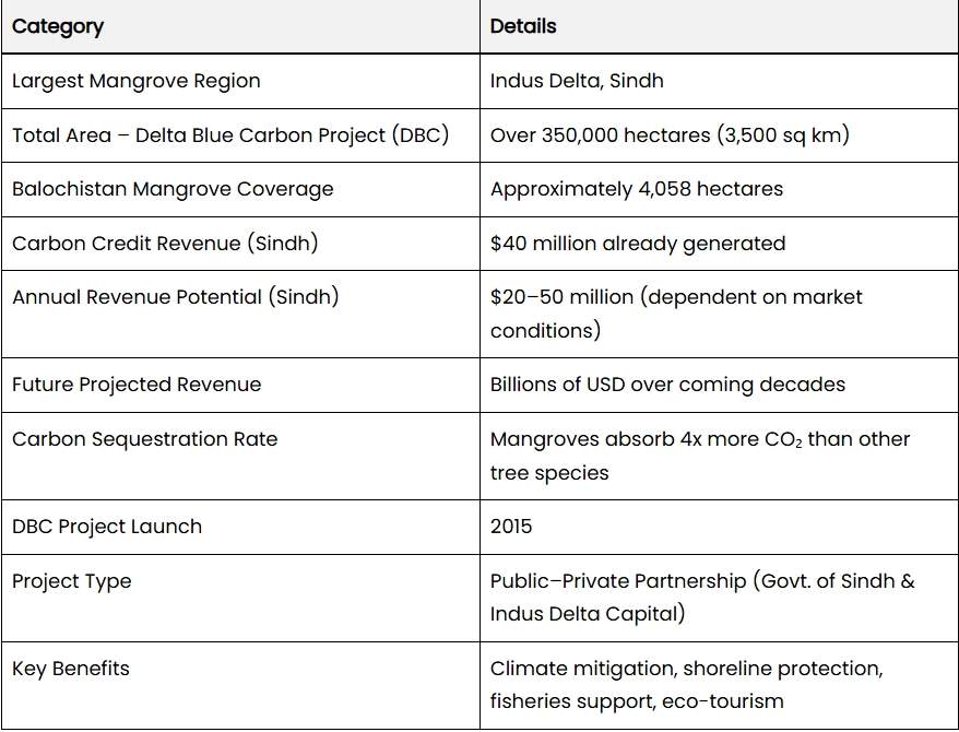 巴基斯坦红树林守护海岸线，更撑起渔业与生态旅游的“绿色经济”(图2)
