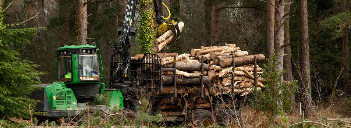 欧洲木材市场格局生变：德国软木需求激增，芬兰出口增长21%(图2)