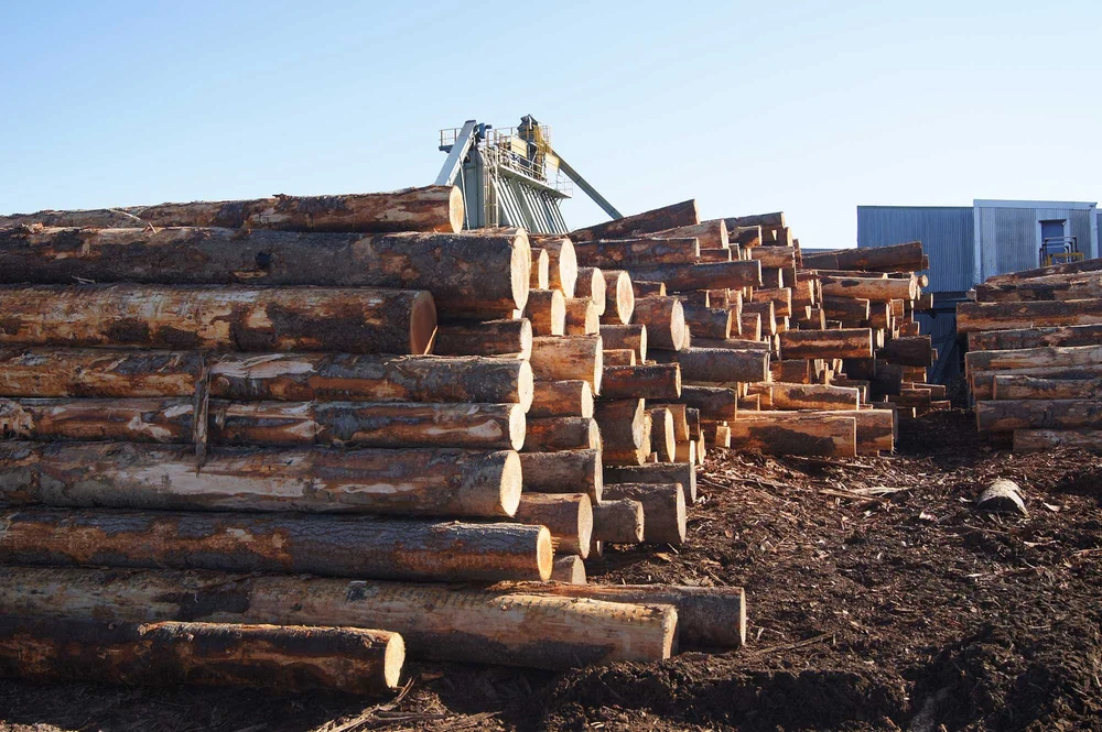 告别原材料依赖：新西兰制定木材增值战略应对全球市场变革(图1)