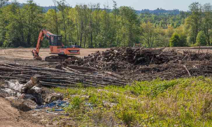 对中国出口几近减半后,将继续收紧木材出口?价格还要再涨?(图1) 对中国出口几近减半后,将继续收紧木材出口?价格还要再涨?(图1)