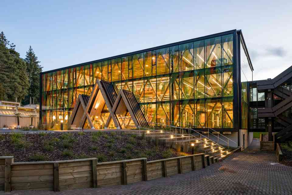 418吨碳储存的建筑：Scion如何用木材重新定义可持续发展(图2)