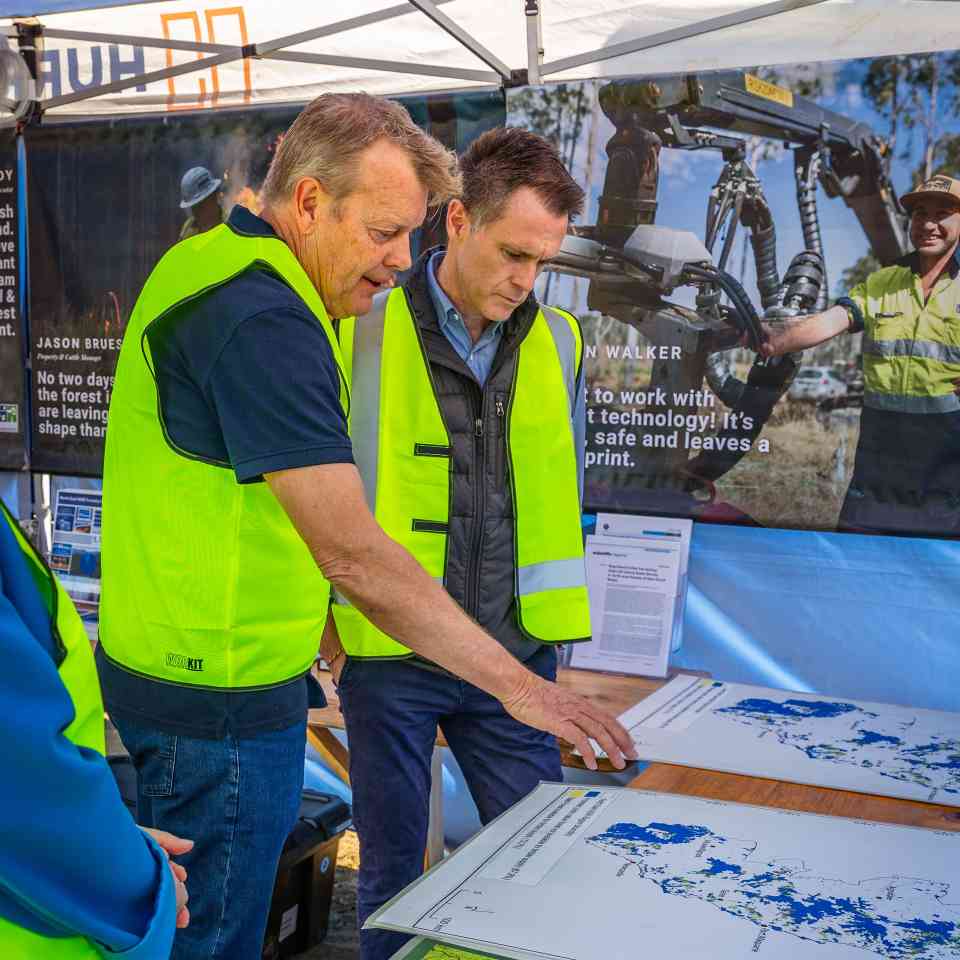 476000公顷考拉保护区的博弈:新州林业与环保的艰难平衡(图1) 476000公顷考拉保护区的博弈:新州林业与环保的艰难平衡(图1)