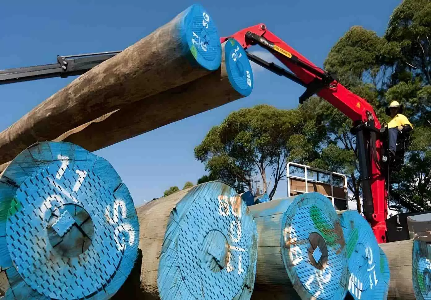 476000公顷考拉保护区的博弈:新州林业与环保的艰难平衡(图2) 476000公顷考拉保护区的博弈:新州林业与环保的艰难平衡(图2)