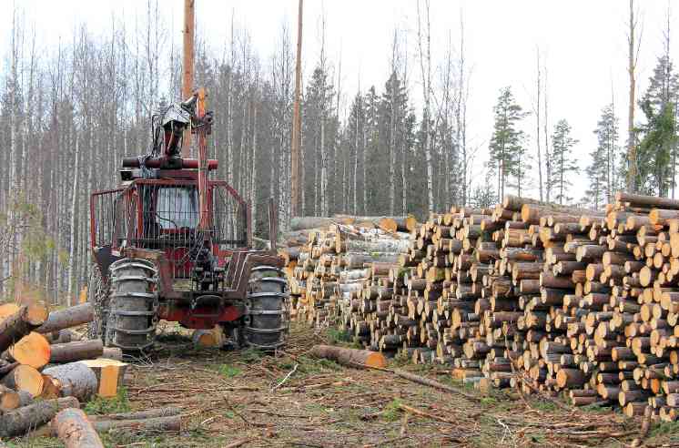 分析发现:多数林业公司未达到《零毁林法案》要求(图1) 分析发现:多数林业公司未达到《零毁林法案》要求(图1)
