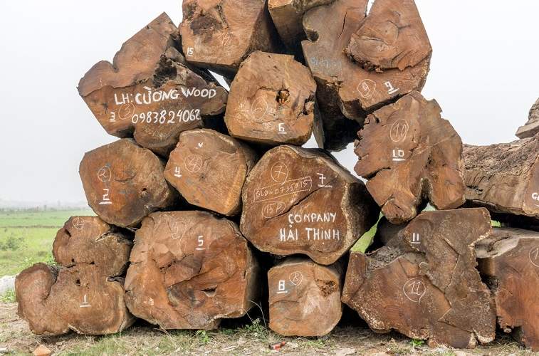 中国采购暂停+大选变局，非洲木材重要来源国“踩刹车”？(图2)