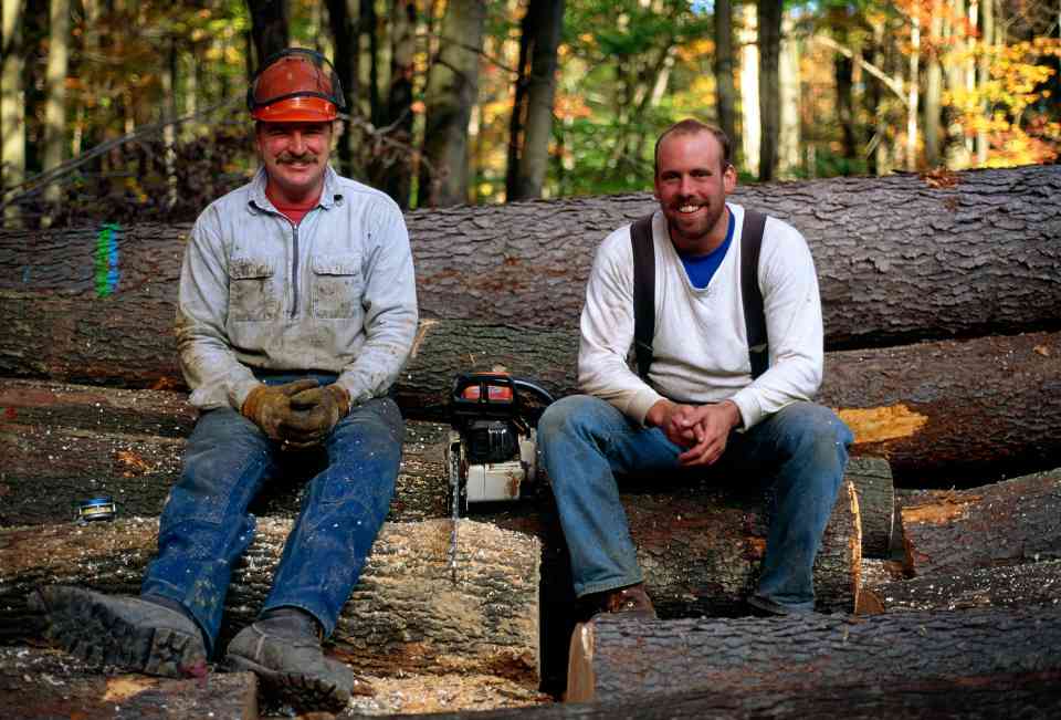 美欧贸易新摩擦：美国伐木者委员会要求欧盟放弃反森林砍伐法(图1)