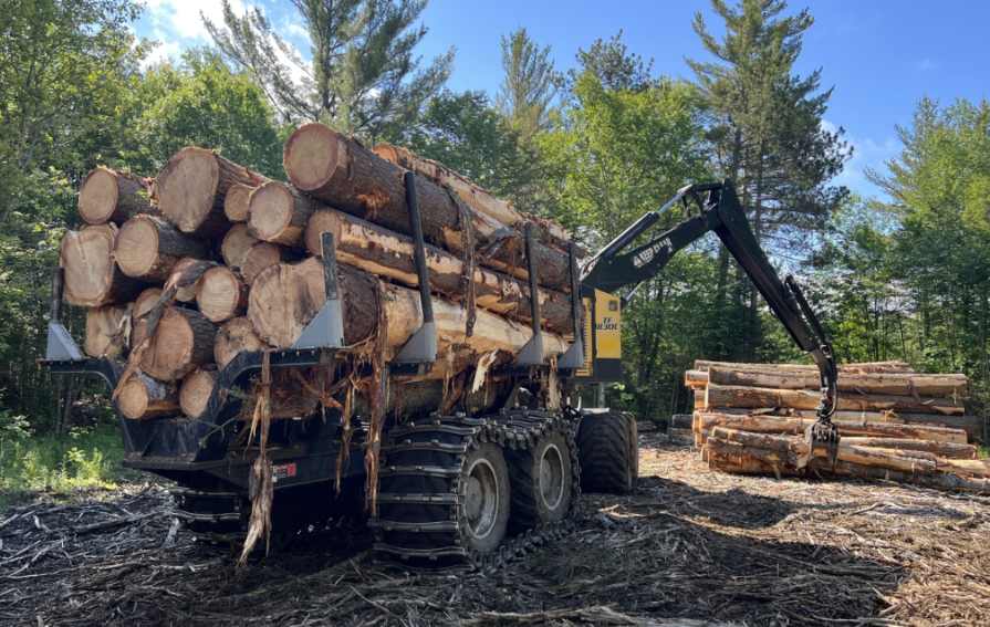 量缩价升!原木短缺、锯材过剩,中国买家如何破局?(图1) 量缩价升!原木短缺、锯材过剩,中国买家如何破局?(图1)