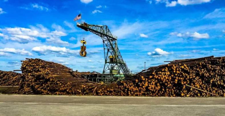 木材巨头陆续关停两家工厂,已造成近300人失业!当地:会帮助就业(图2) 木材巨头陆续关停两家工厂,已造成近300人失业!当地:会帮助就业(图2)