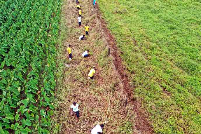 植树救不了气候?新研究揭示重新造林的现实与局限(图1) 植树救不了气候?新研究揭示重新造林的现实与局限(图1)
