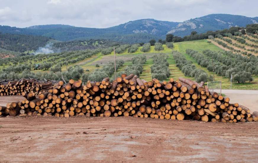 对中国木材出口大跌26%!马来西亚:坚决禁止原木出口(图4) 对中国木材出口大跌26%!马来西亚:坚决禁止原木出口(图4)