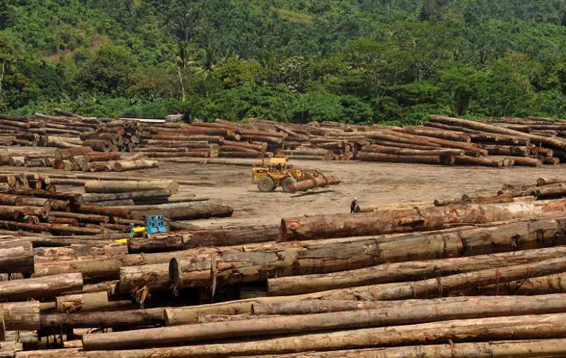 对中国木材出口大跌26%!马来西亚:坚决禁止原木出口(图1) 对中国木材出口大跌26%!马来西亚:坚决禁止原木出口(图1)