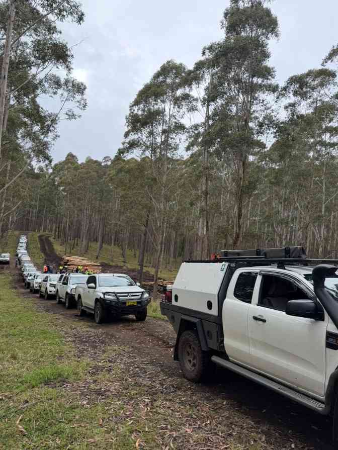 二十年种百万棵树！赫福德硬木开放基奥格尔种植园，议员、农民共庆林业里程碑(图2)