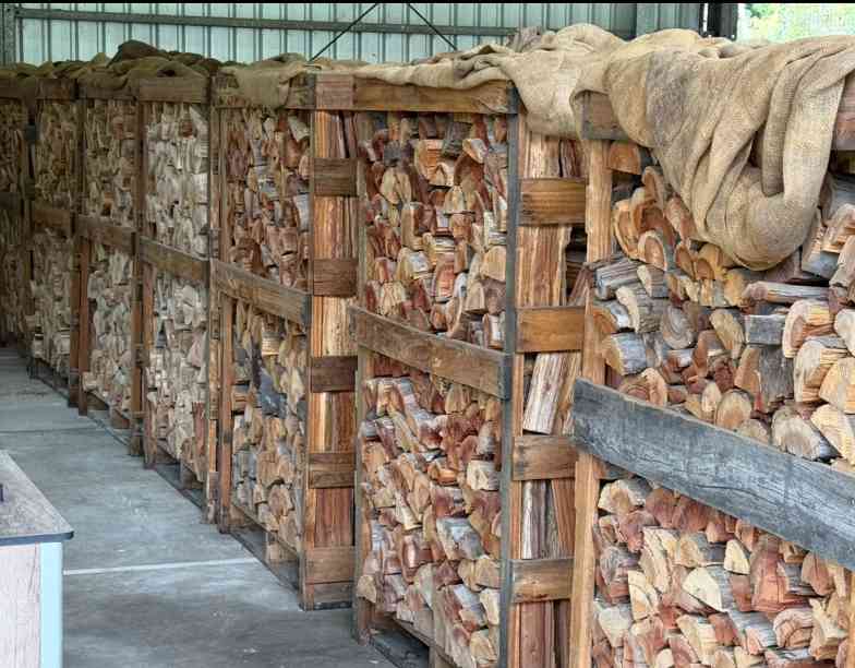 二十年种百万棵树！赫福德硬木开放基奥格尔种植园，议员、农民共庆林业里程碑(图1)