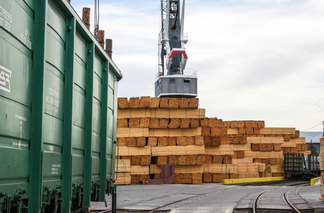 这地通过交易所竞拍，实现超100万立方木材销售！(图1)