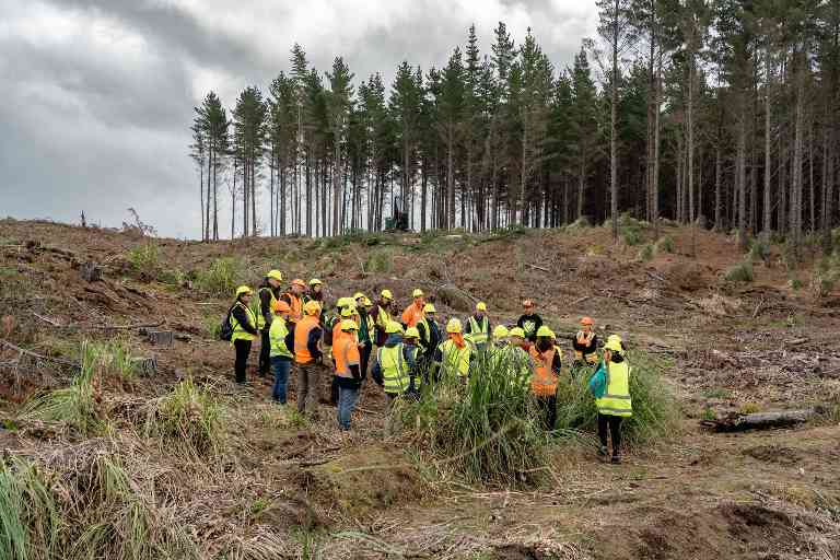 新西兰首届 FSC 森林漫步启幕！伍德希尔森林迎众企业代表，见证林业 “责任实践”(图2)