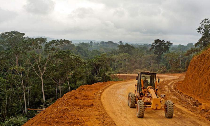 中国买爆也没用？非洲每根原木成本暴涨！供应链危机隐现(图1)