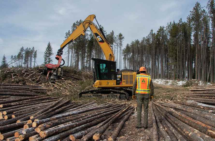 木材暂或“免税金牌”！零税“稳了”？专家：博弈才刚开始！(图2)
