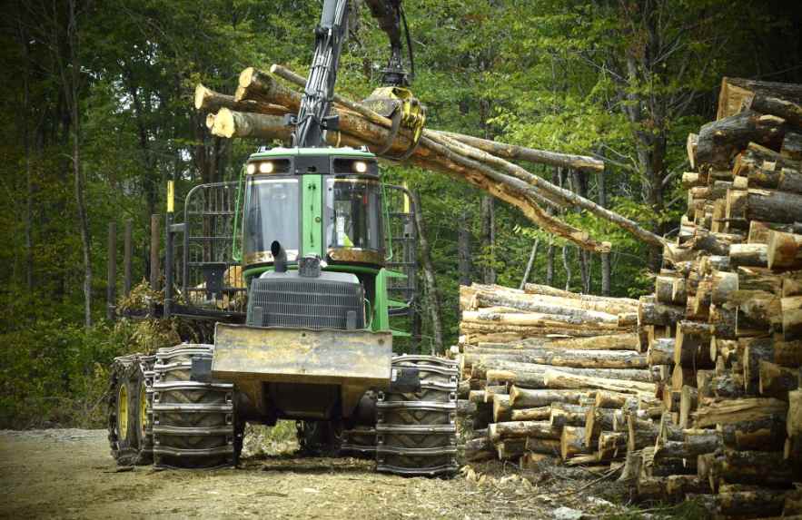 木材暂或“免税金牌”！零税“稳了”？专家：博弈才刚开始！(图3)