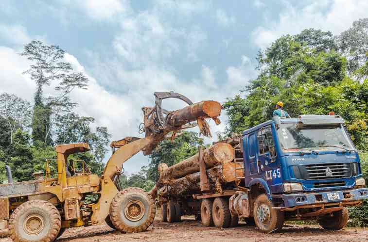 一张许可证，让木材畅通无阻？这个非洲国家做到了！(图1)