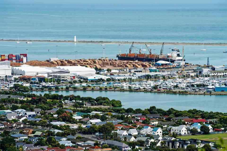 需求下滑成本高企致行业寒冬：新西兰南岛最大锯木厂面临关闭危机(图1)