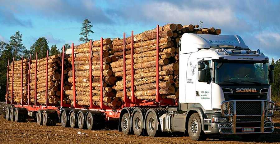 这地木材价格继续猛蹿！对中国出口腰斩(图1)