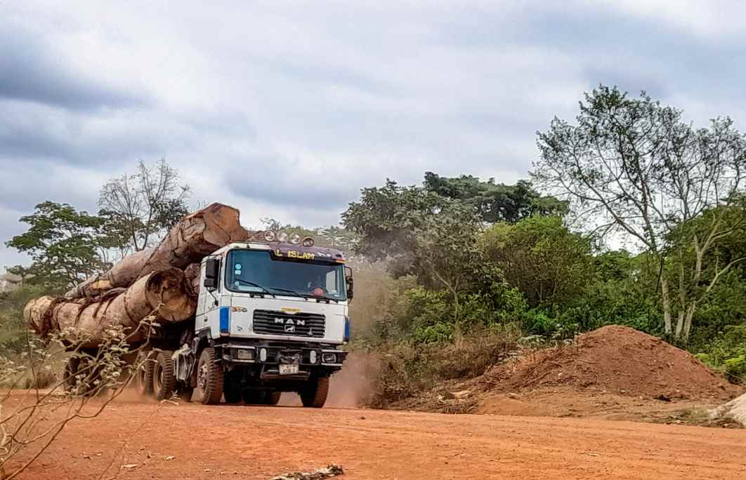 进口量暴跌80%，价格最高涨108%！木材商：成本压力山大！(图3)