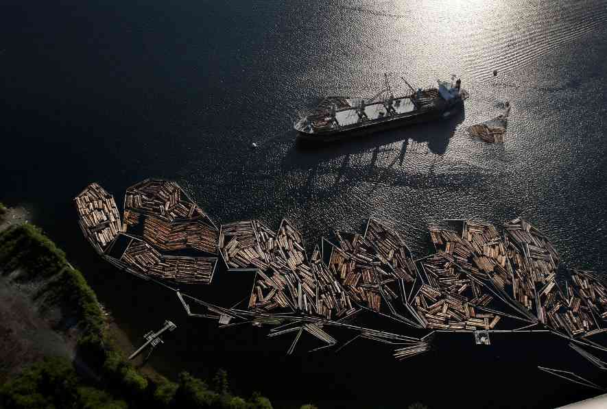 伐木限制+对华禁令双重打击:阿拉斯加锡特卡云杉短缺,施坦威钢琴供应告急(图3) 伐木限制+对华禁令双重打击:阿拉斯加锡特卡云杉短缺,施坦威钢琴供应告急(图3)