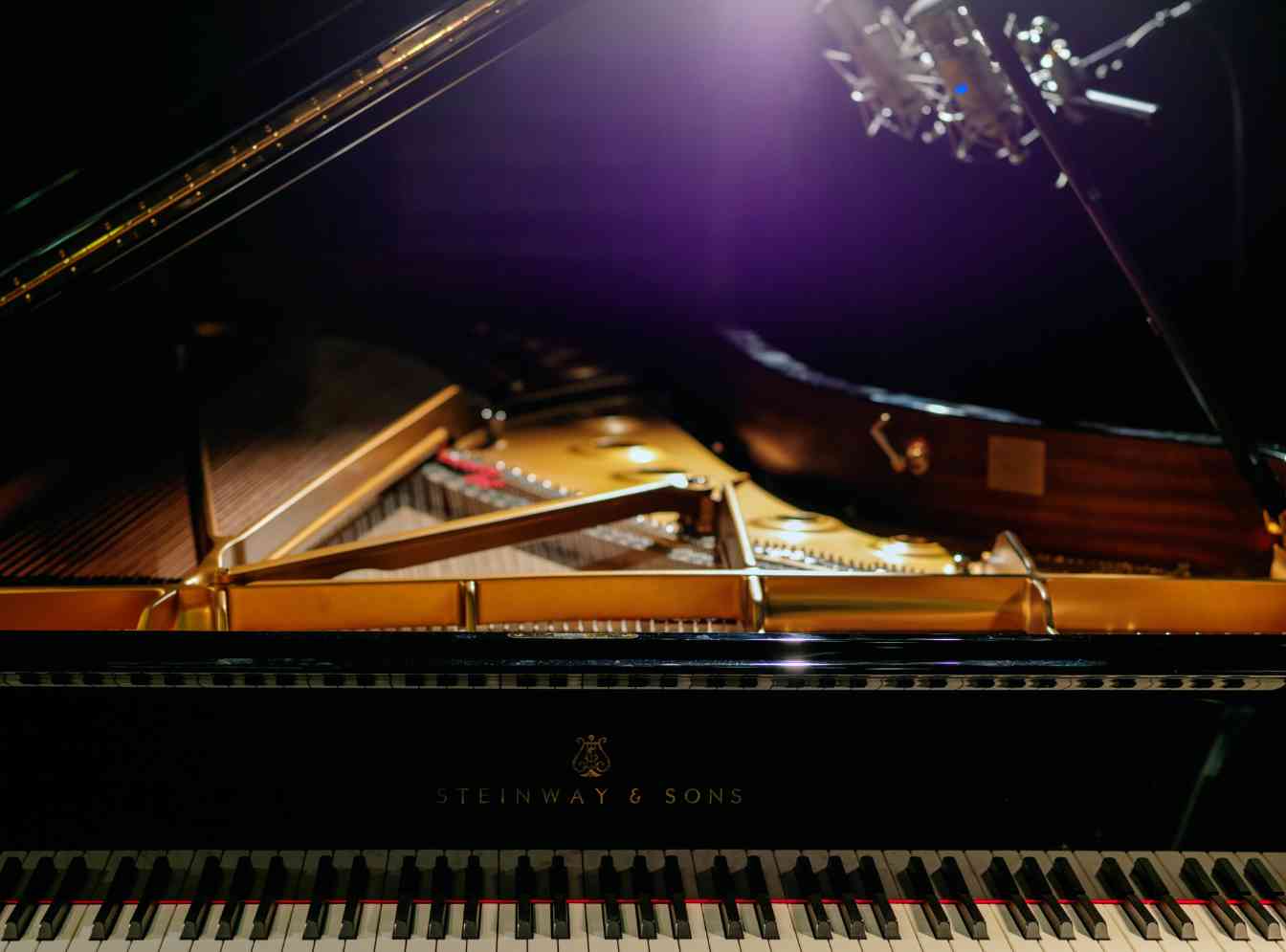 伐木限制+对华禁令双重打击:阿拉斯加锡特卡云杉短缺,施坦威钢琴供应告急(图1) 伐木限制+对华禁令双重打击:阿拉斯加锡特卡云杉短缺,施坦威钢琴供应告急(图1)